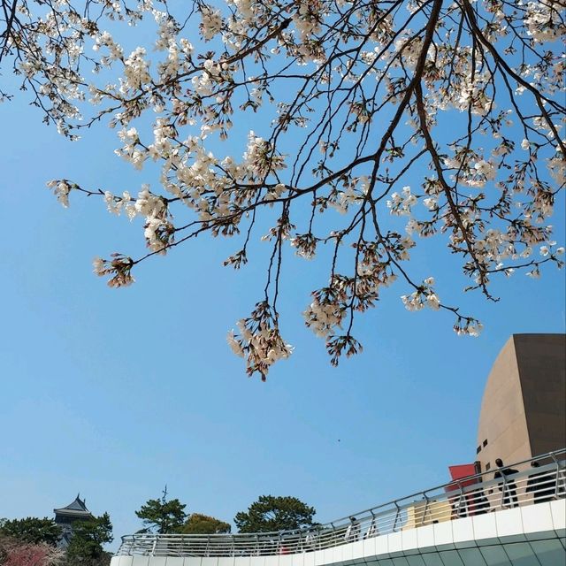 Sunshine Day @ Kokura 