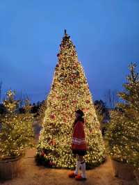 크리스마스에 진심인 경주호텔🎄