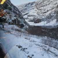 Bergen to oslo trip by train