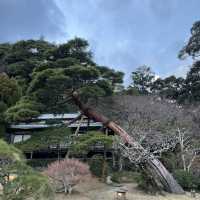 伊豆長岡 三養莊