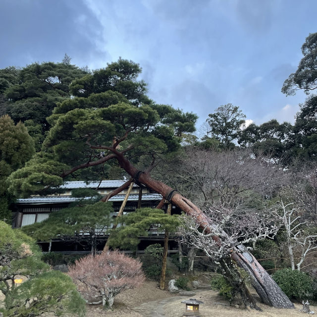 伊豆長岡 三養莊