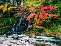 青森🇯🇵中野紅葉山