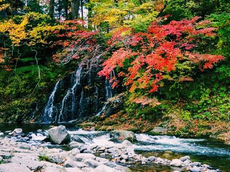 青森🇯🇵中野紅葉山