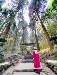 熊本観光☺️神秘的で荘厳な上色見熊野座神社⛩️✨