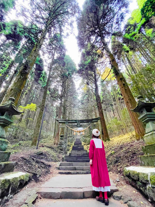熊本観光☺️神秘的で荘厳な上色見熊野座神社⛩️✨
