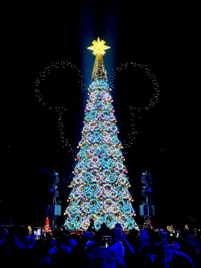 [香港　香港ディズニーランド] クリスマスイベント！