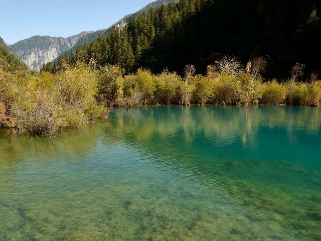 Shuzhengqunhai to Xiniuhai [Must-visit places in Jiuzhai Valley National Park]