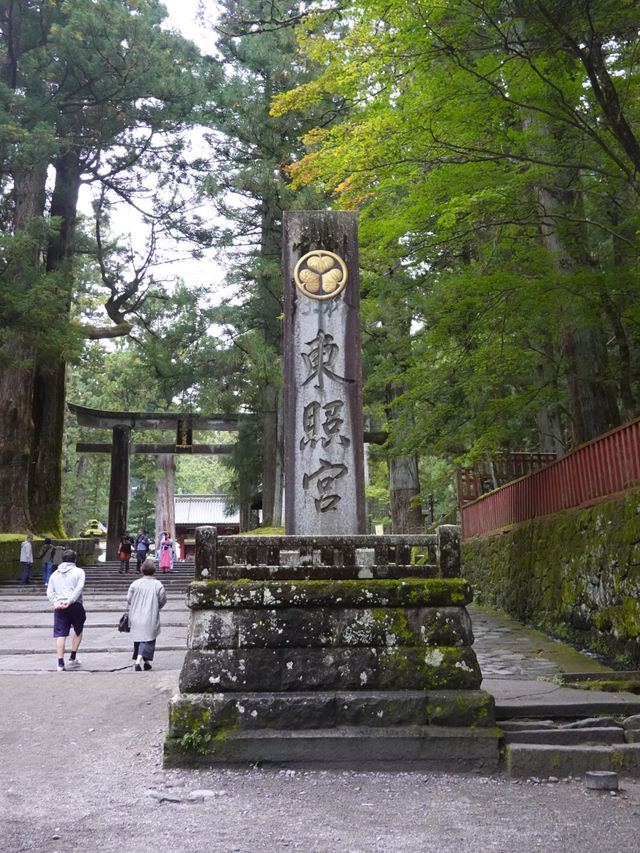 【日光東照宮】歴史と自然が織りなす絶景🇯🇵