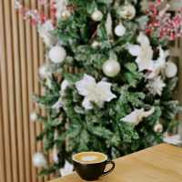 Stylish and Comfortable: Monero Cafe