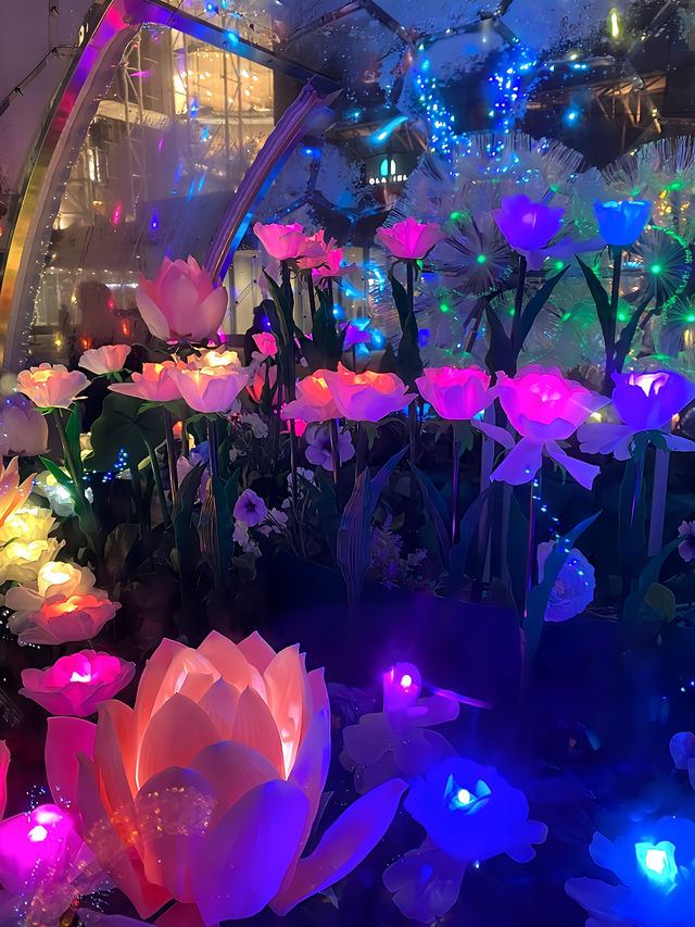 冬の札幌サツエキイルミネーション2024