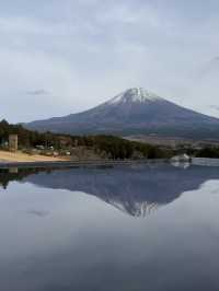 富士山超有名打卡點去一個地方就能拍到 - 馬飼野牧場 🐮