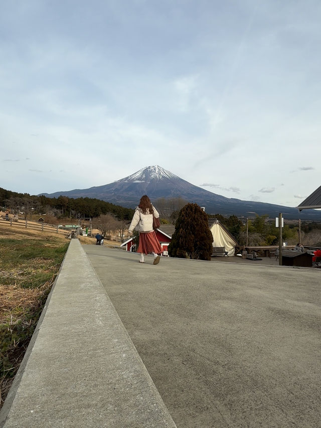 富士山超有名打卡點去一個地方就能拍到 - 馬飼野牧場 🐮