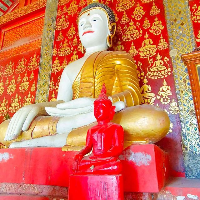 ประตูสู่ลำพูน  วัดประตูป่า