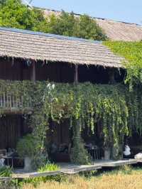 Meena Cafe 