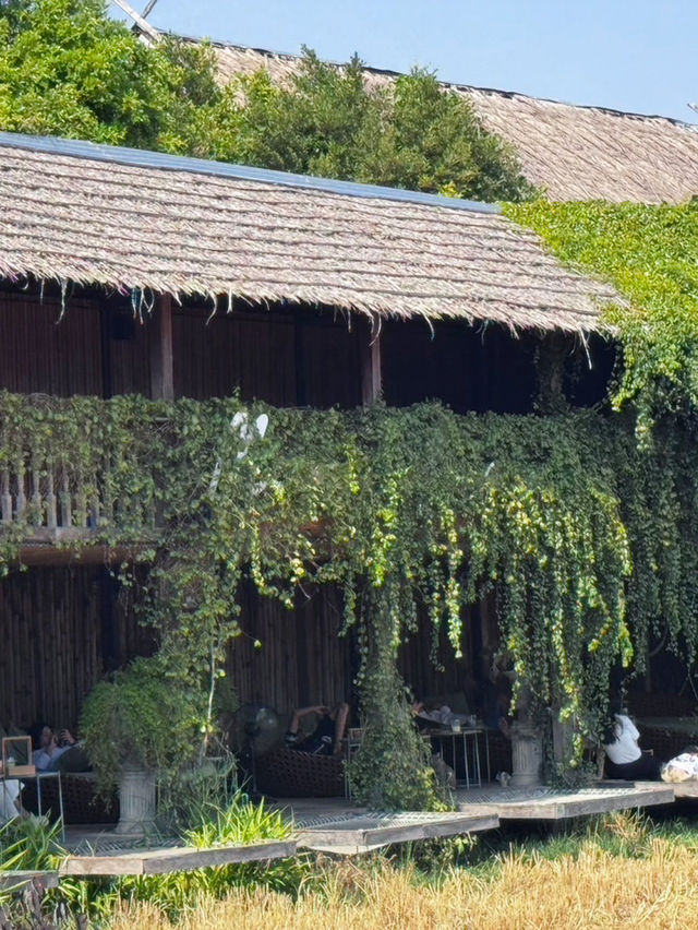 Meena Cafe 