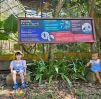 LOKAWI WILDLIFE PARK 