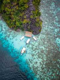 菲律賓 | 浮潛勝地 欣賞海底世界的美🐠