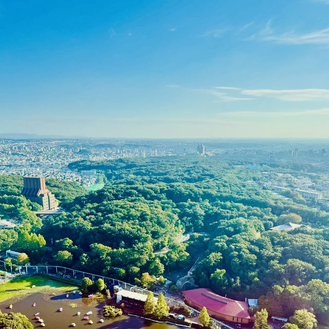 東山天空塔-外觀時尚獨特，飽覽壯觀的名古屋市全景