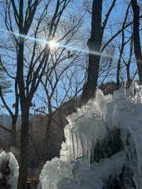 대전에 있는 겨울왕국❄️