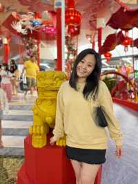 Chinese New Year is coming after the Christmas 🧧🎍
