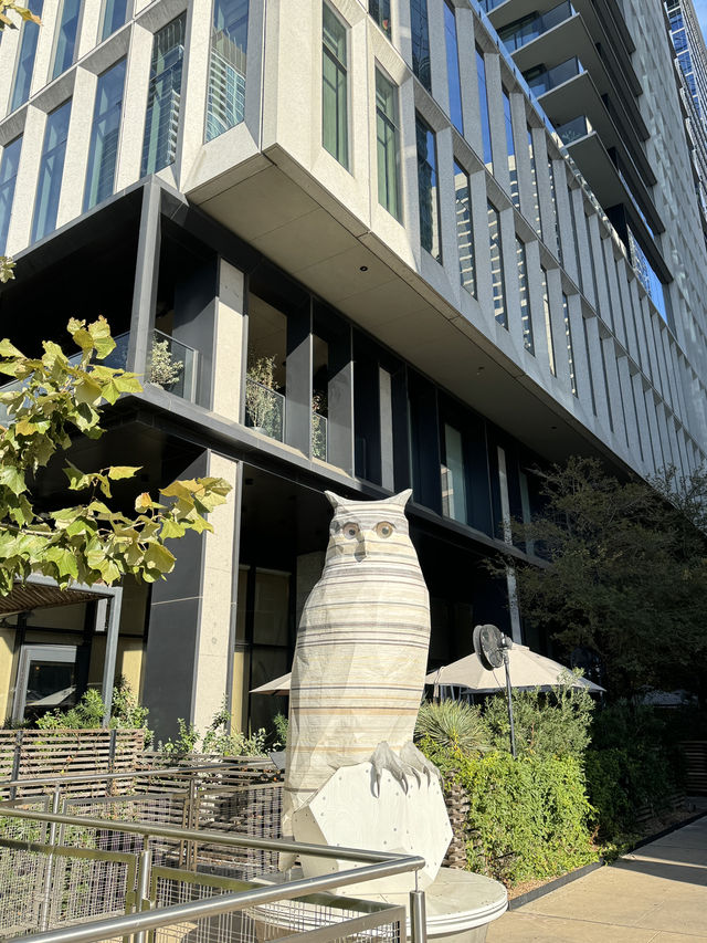 Downtown and Central library