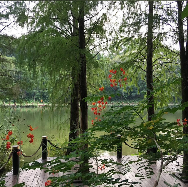 深圳木蘭園（Mulan Garden）的自然美景