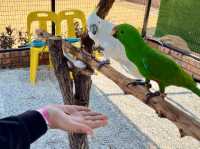GET WILD AT TTI MINI ZOO | FEED, PLAY, AND EXPLORE IN TERENGGANU
