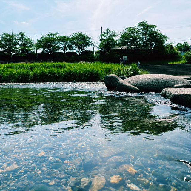  京都鴨川午間遊記：懶洋洋的舒適時光🏖️