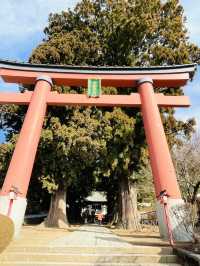 【山梨 冬の日帰り旅】  映えスポットとして人気の「天空の鳥居」