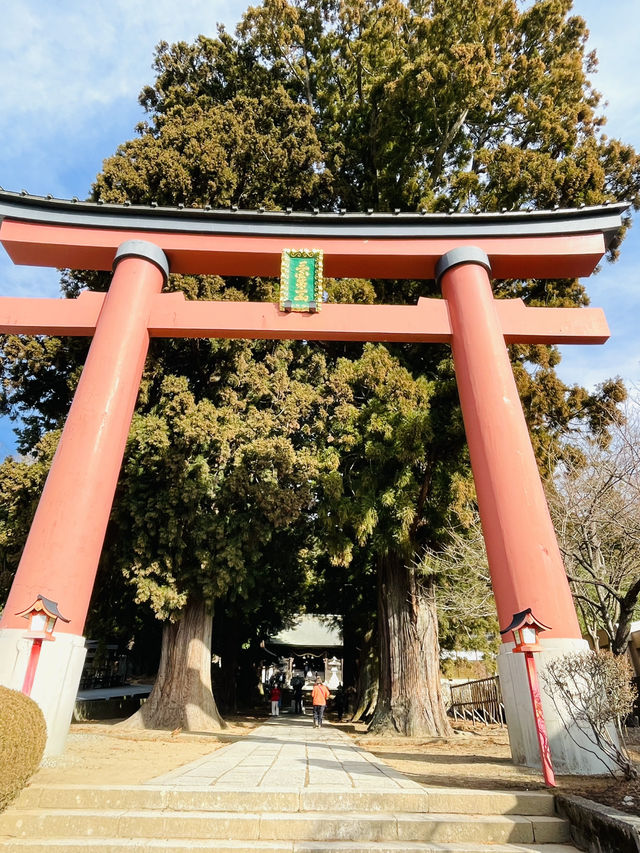 【山梨 冬の日帰り旅】  映えスポットとして人気の「天空の鳥居」