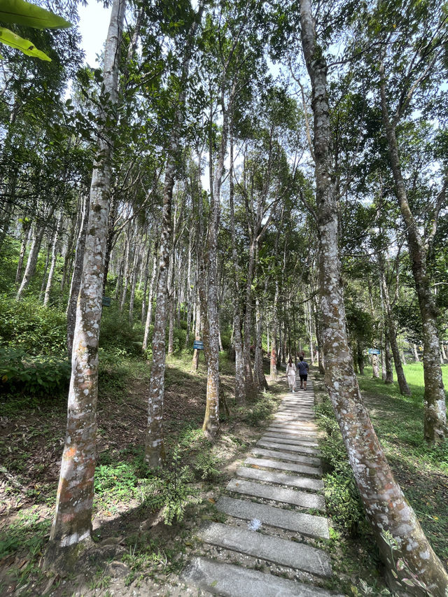 Gaharu Tea Valley: A Tranquil Escape into Nature