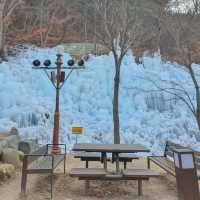 겨울왕국이 따로 없는 비슬산 얼음동산❄️