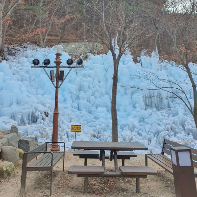 겨울왕국이 따로 없는 비슬산 얼음동산❄️