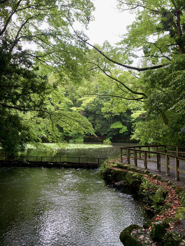 ⛩️⛩️🌳 Vibing in a sacred Shinto hike 