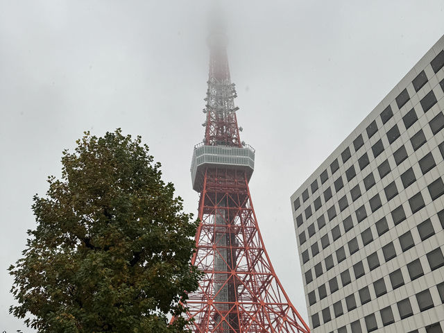 雨中的東京鐵塔，宛如夢幻✨