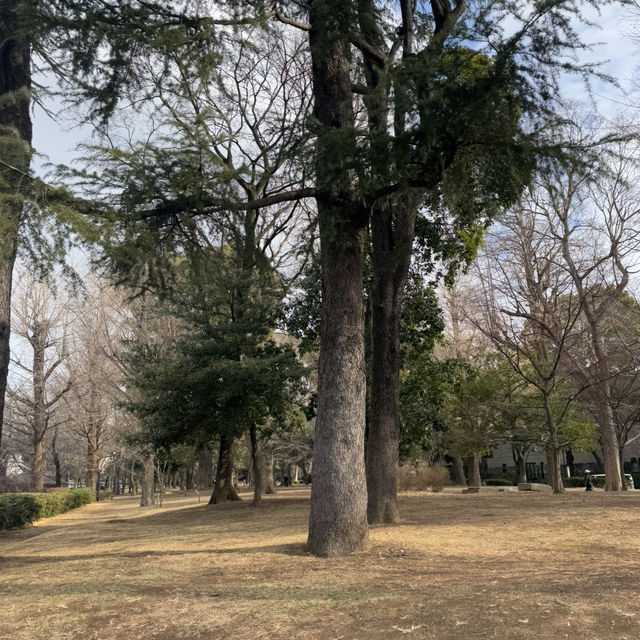 Relaxing time at Ueno Park, Tokyo