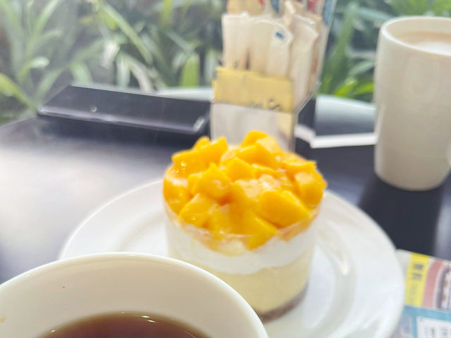 セブ島おすすめリゾート🏝️高級だけどコスパ良し