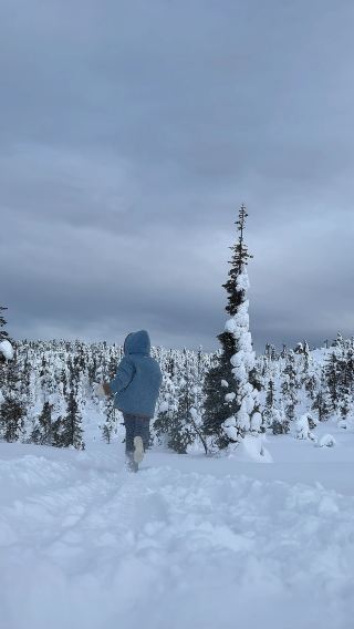 Snowy fairytale