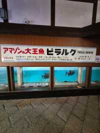 Must Visit Hells of Beppu