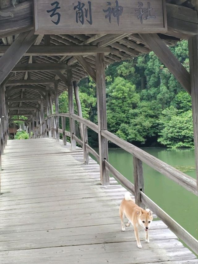 【山道を上がっていくと、突如現れる神秘的な絶景スポット】