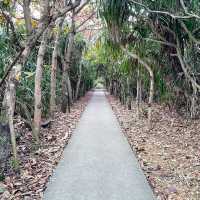 【沖縄】宮古島の神秘的なスポット🌴通り池