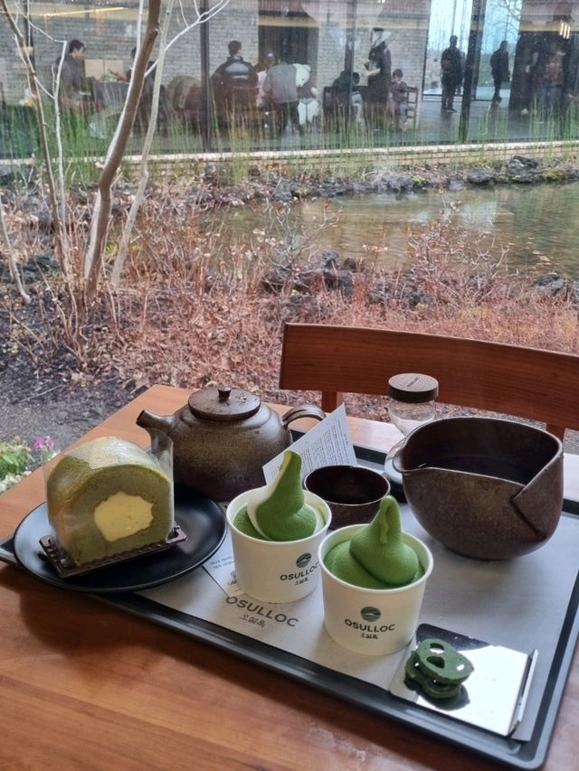 제주에서 녹차밭을 보고싶다면 오설록으로💚