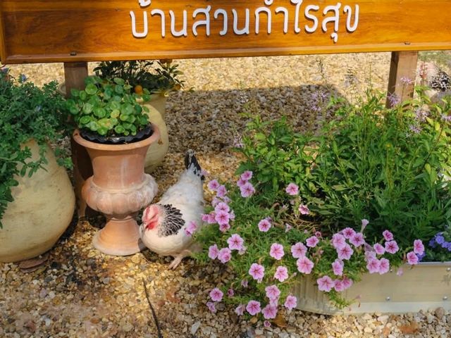 🏕️ บ้านสวนกำไรสุข 🌼 ฉะเชิงเทรา 