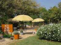🏕️ บ้านสวนกำไรสุข 🌼 ฉะเชิงเทรา 