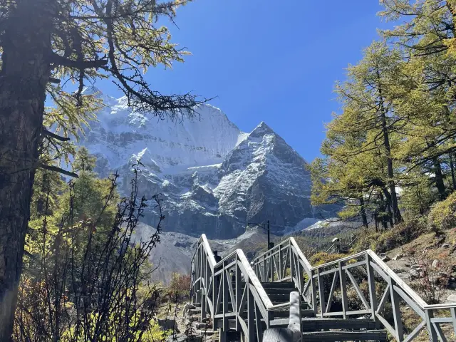 รีบเดิน รีบกลับ รูทสั้น-ย่าติง