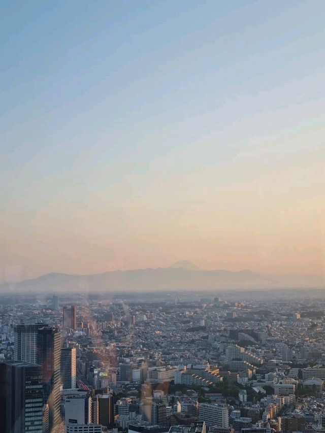 도쿄를 한눈에 볼수 있는 시부야스카이🌃