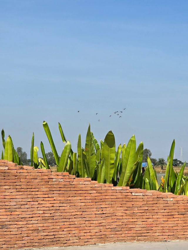NAYA Cafe Ayutthaya 