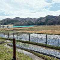 Toyooka city - one worth a few days of vacation