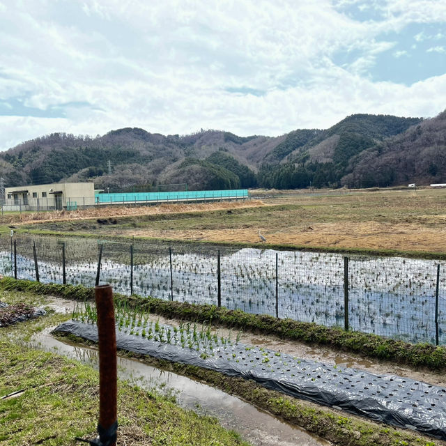 Toyooka city - one worth a few days of vacation