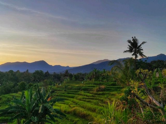 Bali Beyond the Crowds: Hidden Gems of the Island